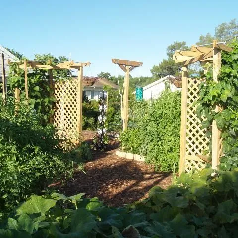 thumbnail for publication: Landscape Design with Edibles